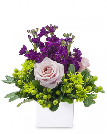 Anna Marie Arrangement