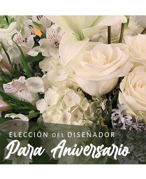 Flores Para Aniversario Elección Del Diseñador