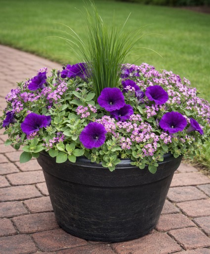 12" Annual Patio Pot Flowering Outdoor Annuals
