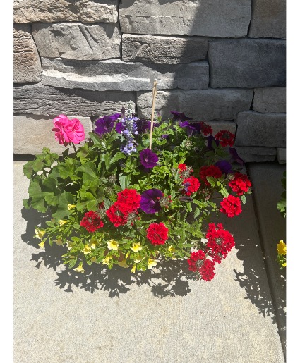 10" Annual Planter Combination Patio Plant
