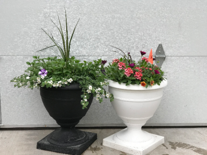 Annual Urns Porch Pots