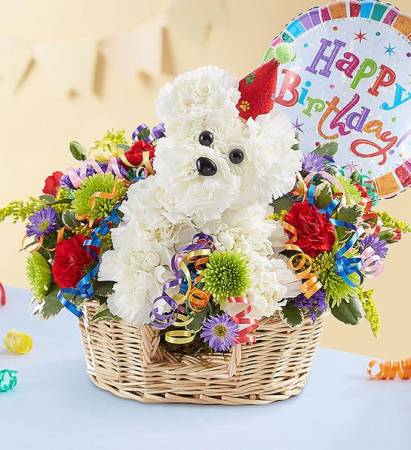Another Year Rover Birthday