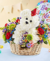 Another Year Rover Flower pup