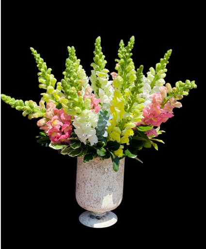 Antirrhinum floral arrangement  
