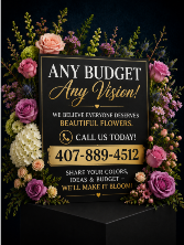 Any Budget, Any Vision 