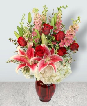 Aphrodite's Embrace Roses