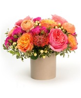 Apricot Elegance 