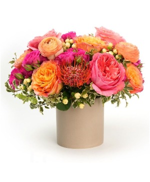 Apricot Elegance 