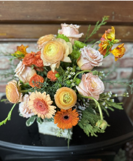 Apricot Joy 