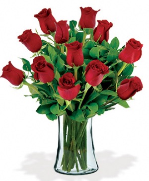 Classic Dozen Roses 
