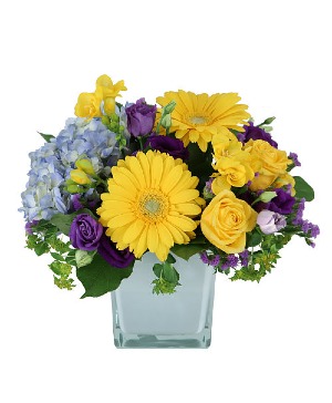 April Morning Arrangement