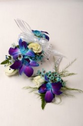 Aqua treasures 