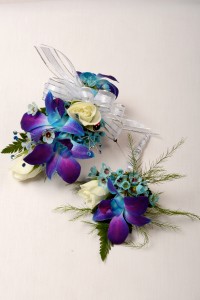 Aqua treasures 