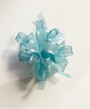 Aqua Wrist Corsage 