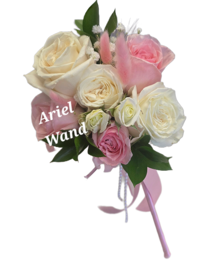 Ariel Wand 