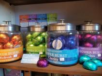 Shower Burst Aromatherapy