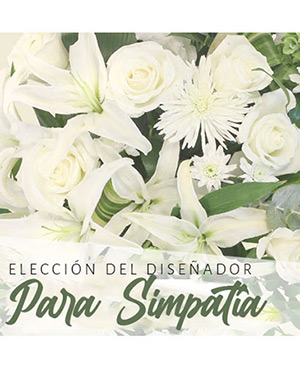 Arreglo Personalizado de Simpatía Elección Del Diseñador