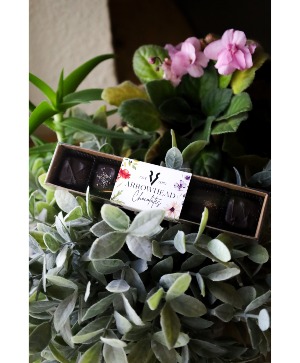 Arrowhead Chocolates 6 Piece Collection Gifts