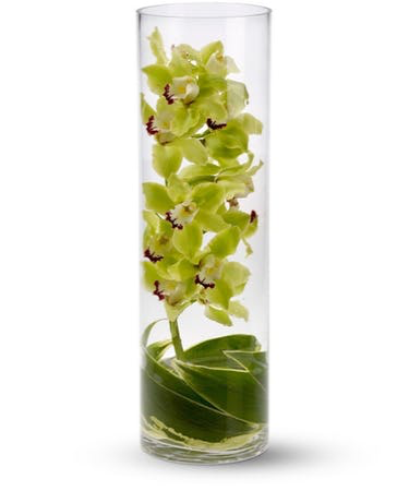 Art  table  Cymbidium green or pink 
