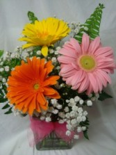 "GERBERA BRIGHTS"(E) arranged in a cube vase   OR MASON JAR with baby's breath OR ANOTHER FILLER.. 