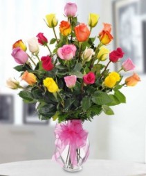 Assorted color long steam roses every day
