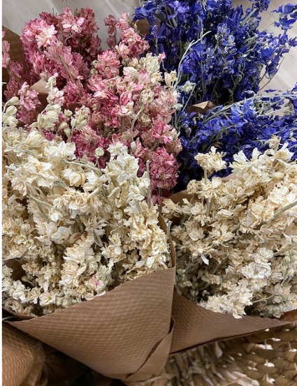 Assorted Dried Larkspur 
