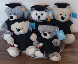 Assorted Grad bears Starting at $22.99 & up 