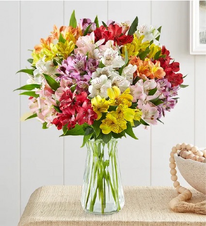 Assorted Peruvian Lilies 