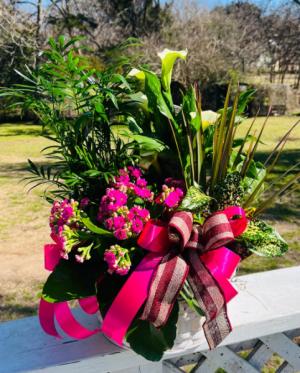 Assorted Plants in Basket with Bow 