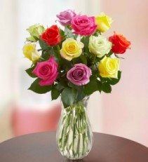 Assorted Rose Dozen 