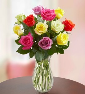 Assorted Rose Dozen 