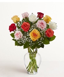 Assorted Rose 40cm Special 