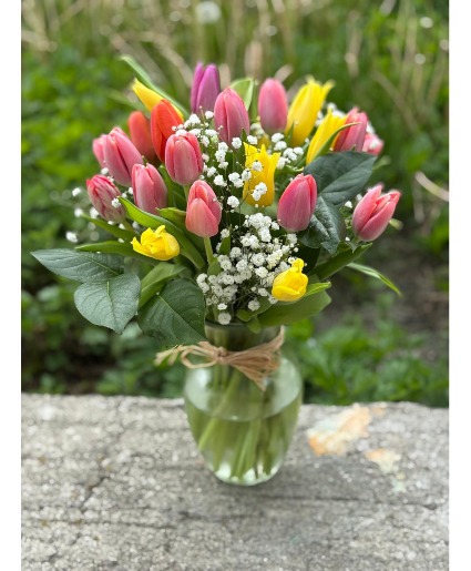 Assorted Tulip vase   tulip vase 