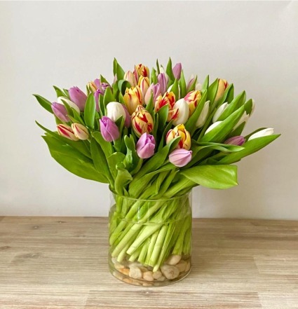 Assorted Tulips 