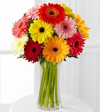 Colourful Array Gerbera Daisies Vased Arrangement in Saskatoon, SK | QUINN & KIM'S FLOWERS