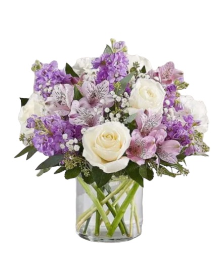 Astonishing Beauty valentines