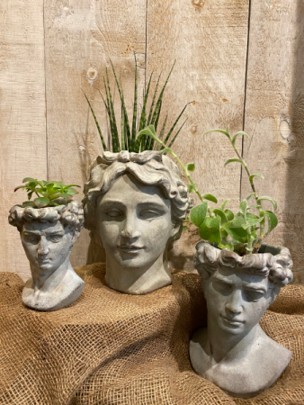 Athens and David Head planters