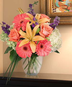 Aurora Lifestyle Arrangement