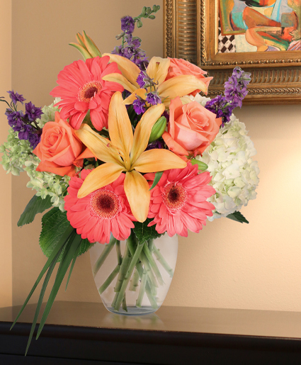 Aurora Lifestyle Arrangement