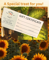 Autry's 4 Season's Gift Card gift
