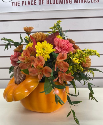 Autumn Pumpkin Fall 
