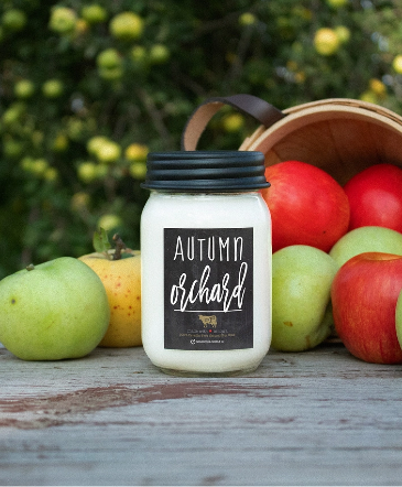 AUTUM ORCHARD MILKHOUSE CANDLE in Saint Charles, IL | Becky's Bouquets