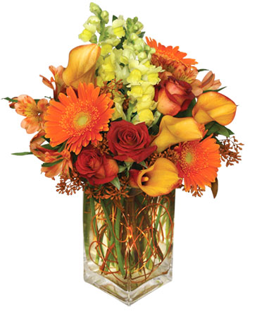 AUTUMN ADVENTURE Arrangement in Wilmington, DE | EVERLASTING BEAUTY FLORAL DESIGNS