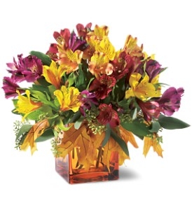 Autumn Alstroemerias 