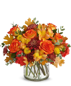 Autumn Bliss - 00409 