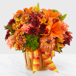 Autumn Celebration Special Design