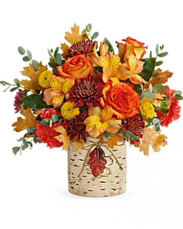 Autumn Colors 