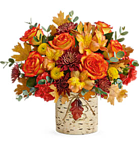 AUTUMN COLORS DELUXE 