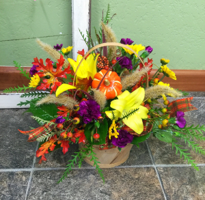 Autumn Delight  
