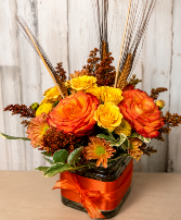 Autumn Ember Cube arrangement 